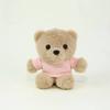 Teddy Bear Plush Toy Keychain With Printing For Gift And Decoration