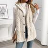 Solid Color Double-sided Plush Hooded Button Cardigan Casual Women's Autumn and Winter Vest