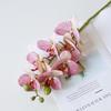 Elegant 7-Head Phalaenopsis Orchid Faux Flower in White and Pink for Living Room or Dining Table Decor