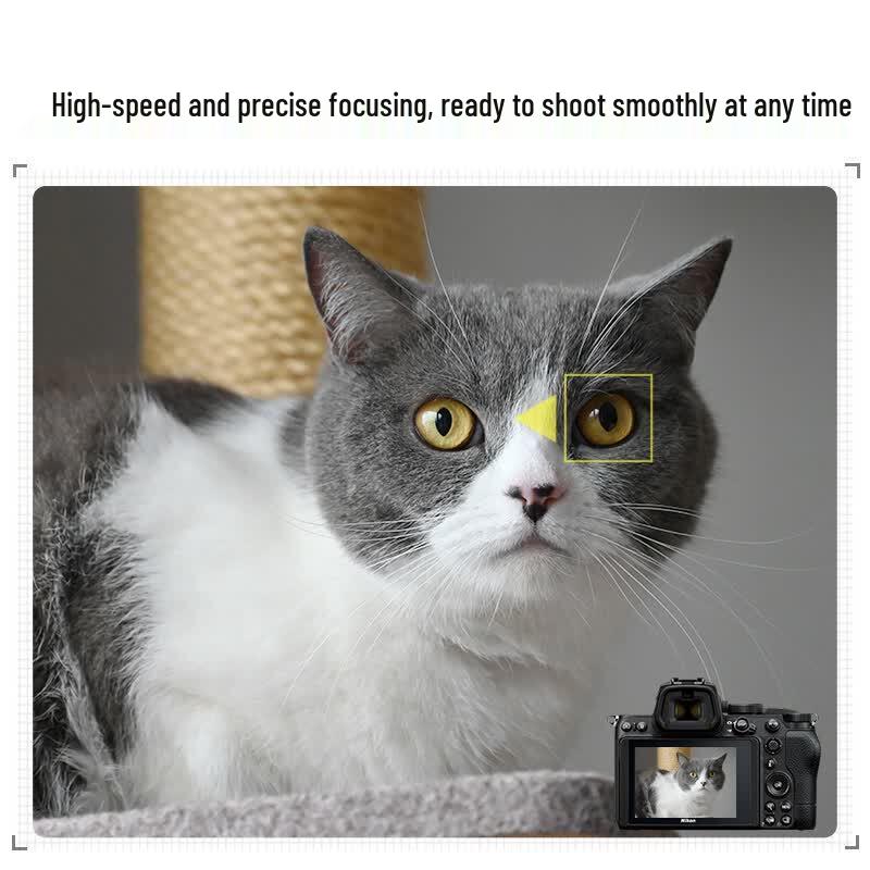 Nikon Z5 Full-Frame Mirrorless Camera Kit (CN version)