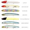 LUCKY CRAFT Wonder Slim 110 Fishing Lure (738 Salty Ghost Minnow) WDS110
