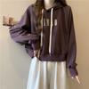 Real shot velvet short hooded sweater women's autumn and winter new loose embroidered long-sleeved top coat