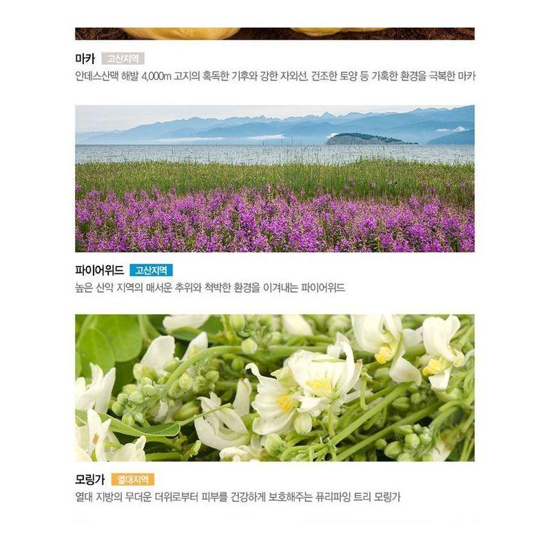 The Saem Водостойкий солнцезащитный стик Eco Earth