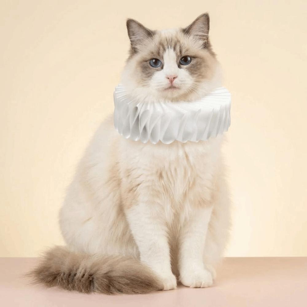 Victorian Costume Detachable Neck Ruffled Pet Collar Vintage Elegan Cat Collar Chic Dog Ruff Collar Pet Accessory