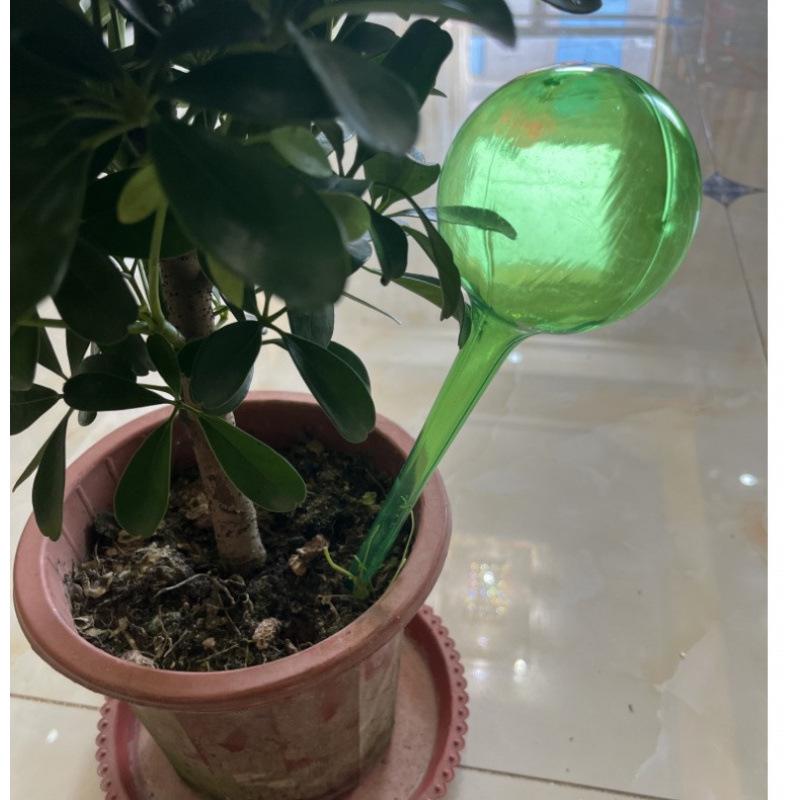Automatic Flower Watering Globe – Ideal for Travel and Home Use. Contact Customer Service for Color Options.