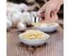 Stainless Steel Garlic Press 135g