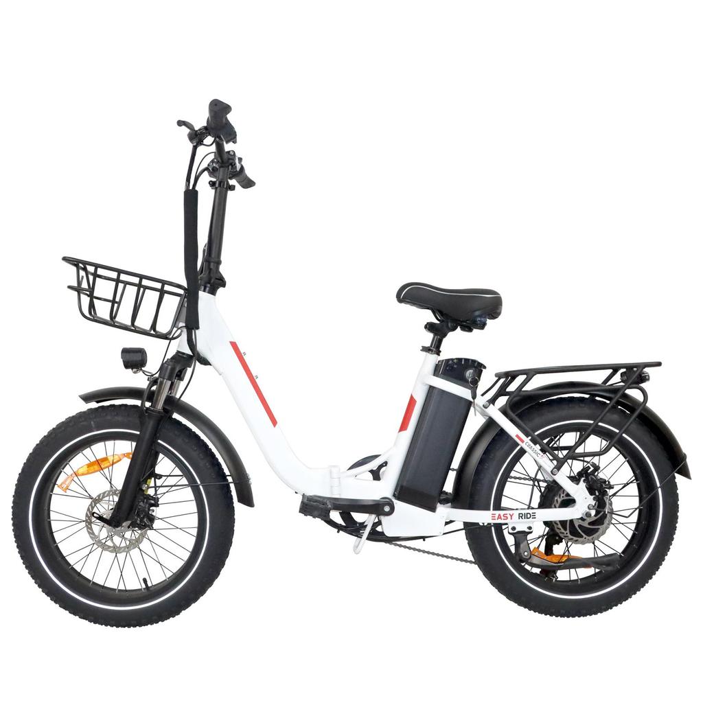 DZ2030 E-Bike 800W Motor 48V16AH Removable Battery Food Delivery Electric Bicycle 20*4.0 Fat Tire Adult Delivery Electric Bike
