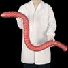 Очень длинный глубокий анальный стимулятор с резьбой, силиконовый анальный тренажер для мужчин и женщин, для личного использования