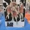 Акриловая доска Slam Dunk