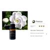 Gardenia Car Fragrance Diffuser Gypsum Car Perfume Car Air Conditioning Vent Decoration Aroma Essential Oil Ornament