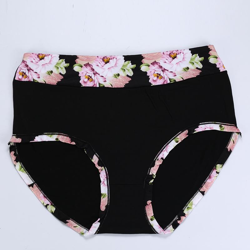 Women's Plus Size Floral Print Briefs - Comfortable Fit, Sizes 4XL-14XL