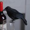 1pc Small Simulation Fake Bird Realistic Halloween Black Crow Model Home Decoration Animal Creepy Toy Home Ornament