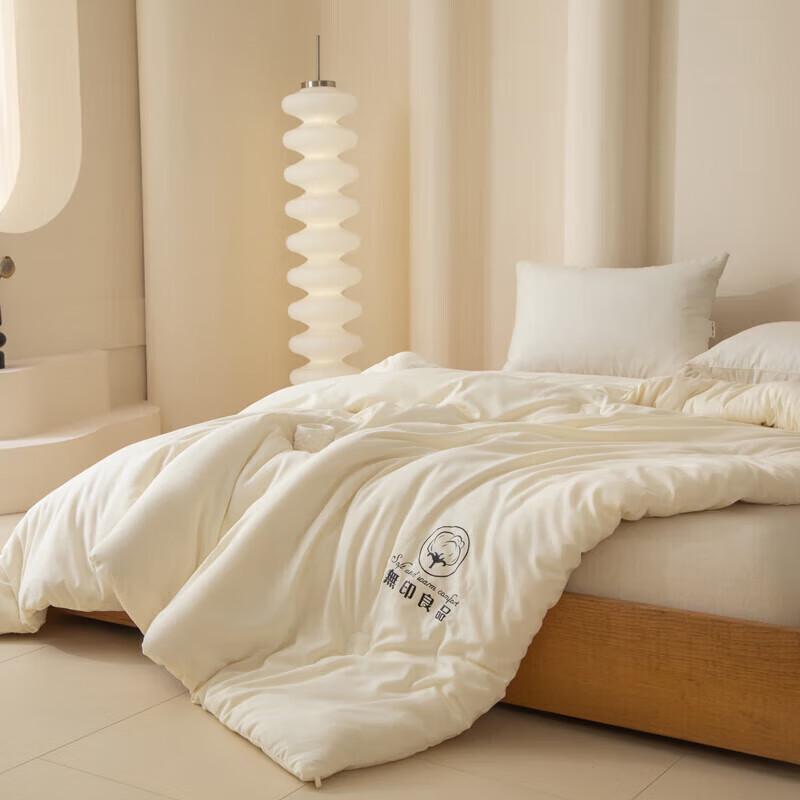 Muji Comfort Winter Xinjiang Cotton Quilt