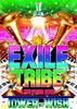 DVD  - EXILE TRIBE LIVE TOUR 2012 -TOWER O RZBD59227 Japan Anime/Game Used