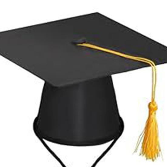 1 комплект нарядов для выпускного в виде гуся из газона, черная шляпа бакалавра, галстук-бабочка, украшение для статуи гуся для двора, нарядная одежда, аксессуары для костюмов