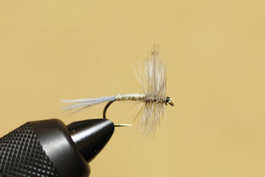 Полный набор мушек из магазина Fly SD standard dry yamame char, выбор, мушка, форель, #16