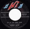 7-дюймовая пластинка JERRY JAYE Let The Four Winds Blow Singing T 452128 Hi Records 1967 США Рок Б/у