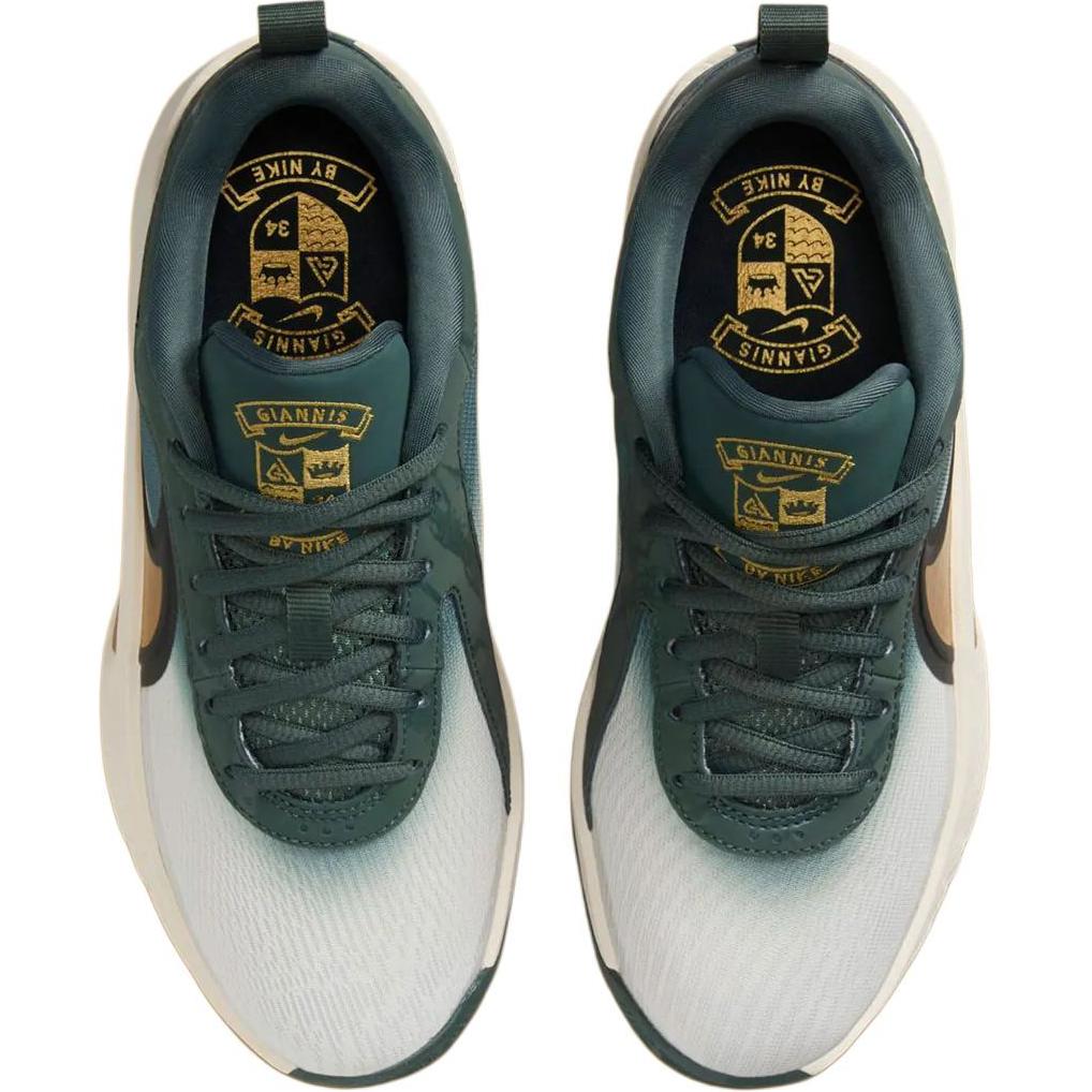 Nike Zoom Freak 6 GS Винтажный Зеленый Бледно-Слоновая Кость Металлик Золотой FZ7305-300