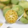 Yan Geng Freeze-Dried Green Kumquat Slices