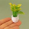 1 шт., кукольный домик, мини-модель растения, мини-зеленое растение в горшке, открытый пейзаж, цветочная клумба