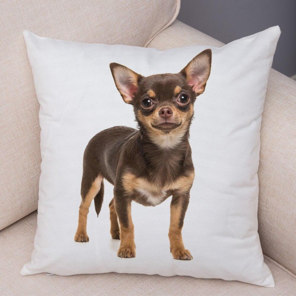 Cute Pet Animal Pillowcase Decorative Cute Puppy Chihuahua Pillowcase Soft Plush Cushion Cover for Car Sofa Home 45x45cm