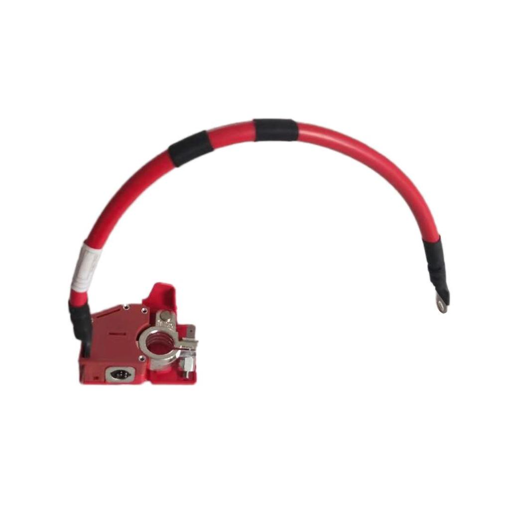 Positive Battery Cable for BMW 3 Series G20/G28 (Part 61128796959)