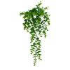 Plastic Leaf Eucalyptus Citriodora For Living Room Photo Backgrounds Decor Wall