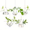 5pcs Air Plant Hydroponic Wall Vase,glass Bunch Modern Propagation Station,hanging Glass Planter,flower,indoor,window,home Decor