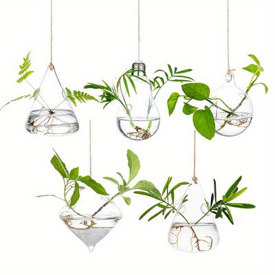 5 шт. ваза для гидропонных растений Air Plant, стеклянная современная станция для размножения, подвесное стеклянное кашпо, цветок, для помещений, для окон, для домашнего декора