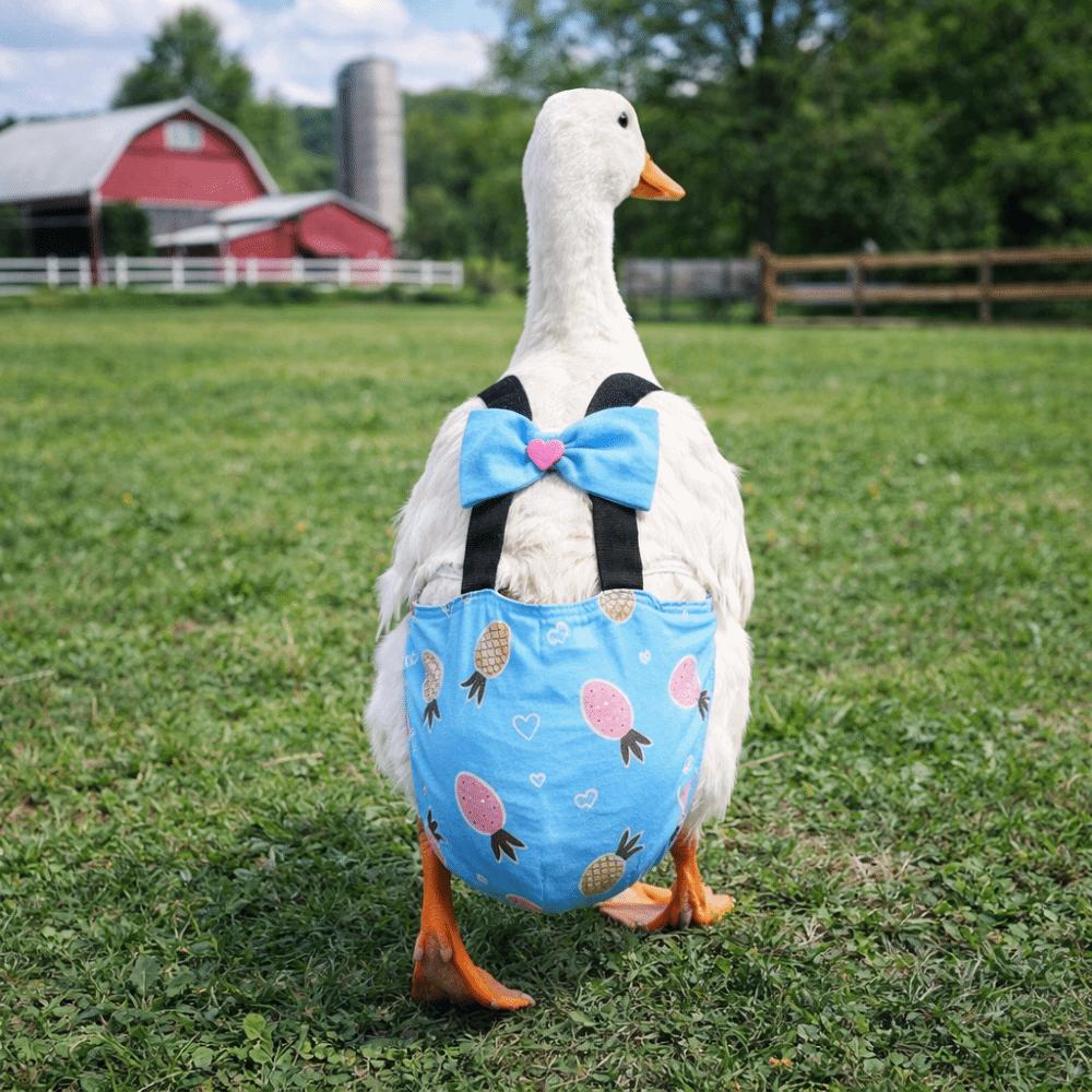 Adjustable Duck Diapers Bowknot Design Poultry Nappy Fruits Pattern Flight Suits Poultry Care