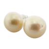 [New] Pt900 South Sea White Pearl (cream White Type) Earrings /g440-34