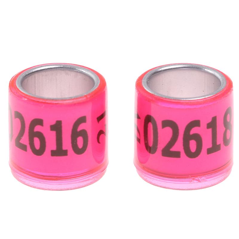 20 шт. Кольцо в виде лапки голубя с серьгами в виде слов 2021 Многоцветные инструменты для птиц