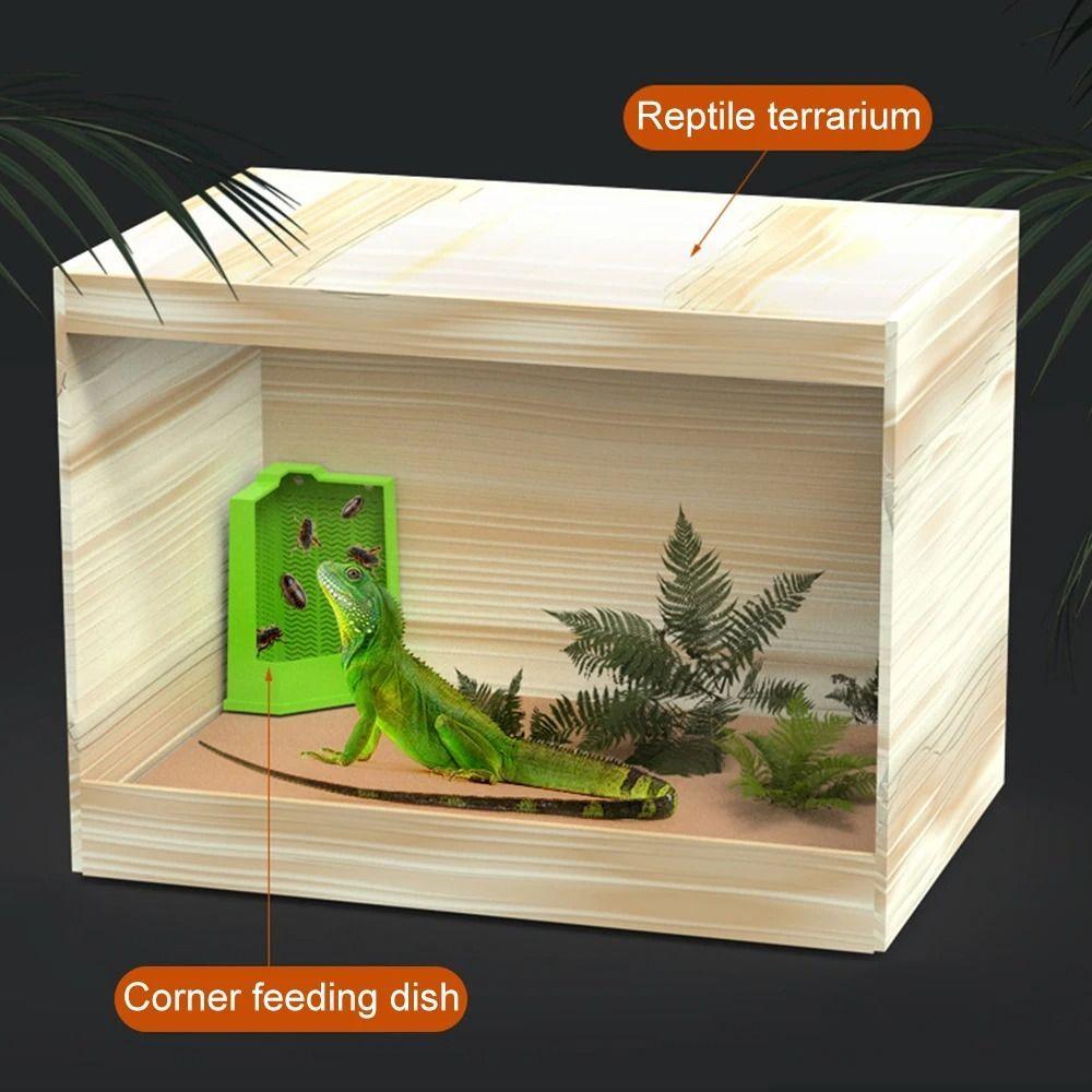 Plastic Live Insect Dish Suspendable Design Lizard Food Tray Predator Feeder Bearded Dragon Feed