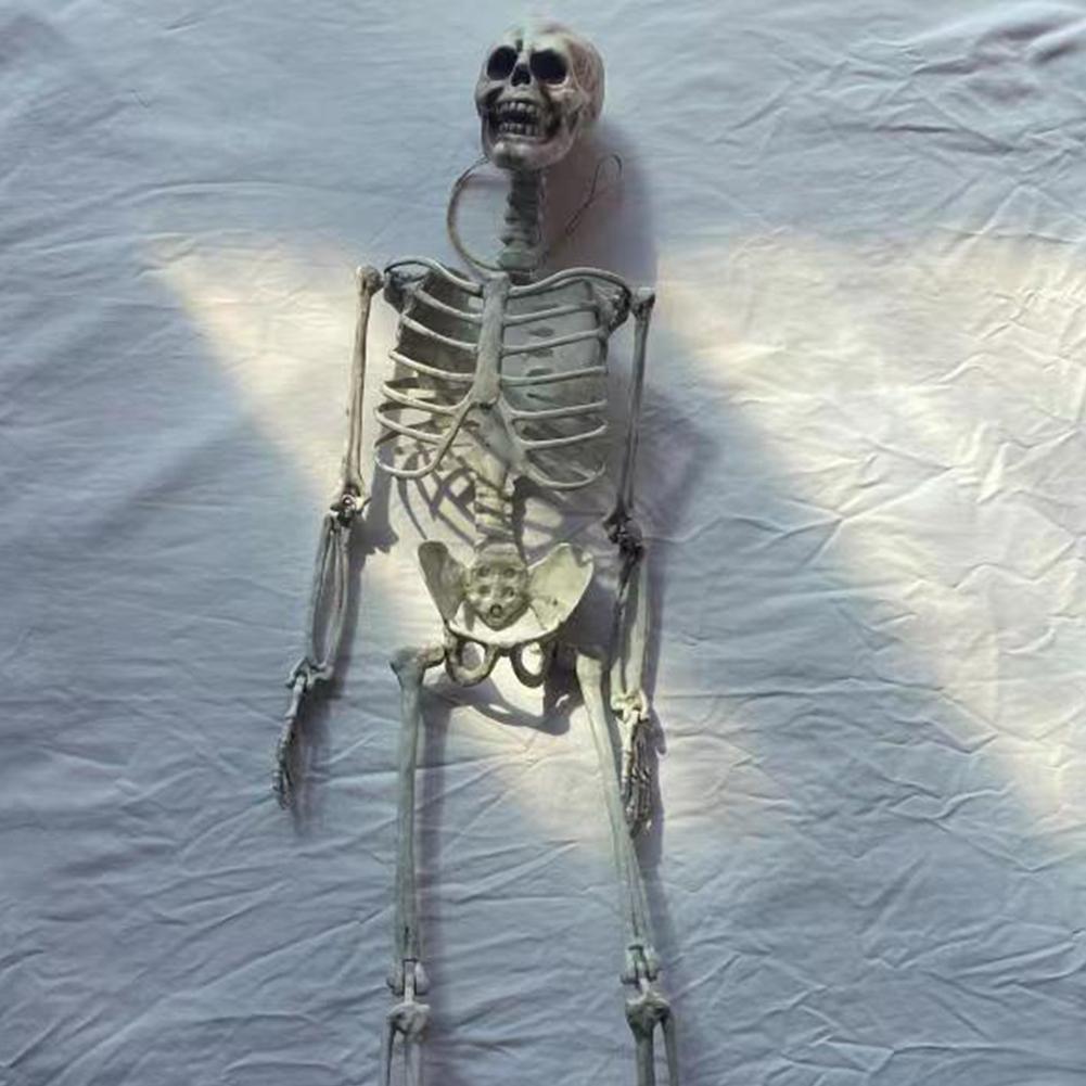 Halloween Decorative Skull Sculpture Movable/Posable Joints Body Anatomy Model Festival Theme Full Size Home Party Decorations