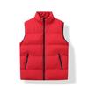 Autumn and Winter Versatile Casual Warm Vest New Simple Loose Thickened Coat Solid Color High-end Fashion Vest
