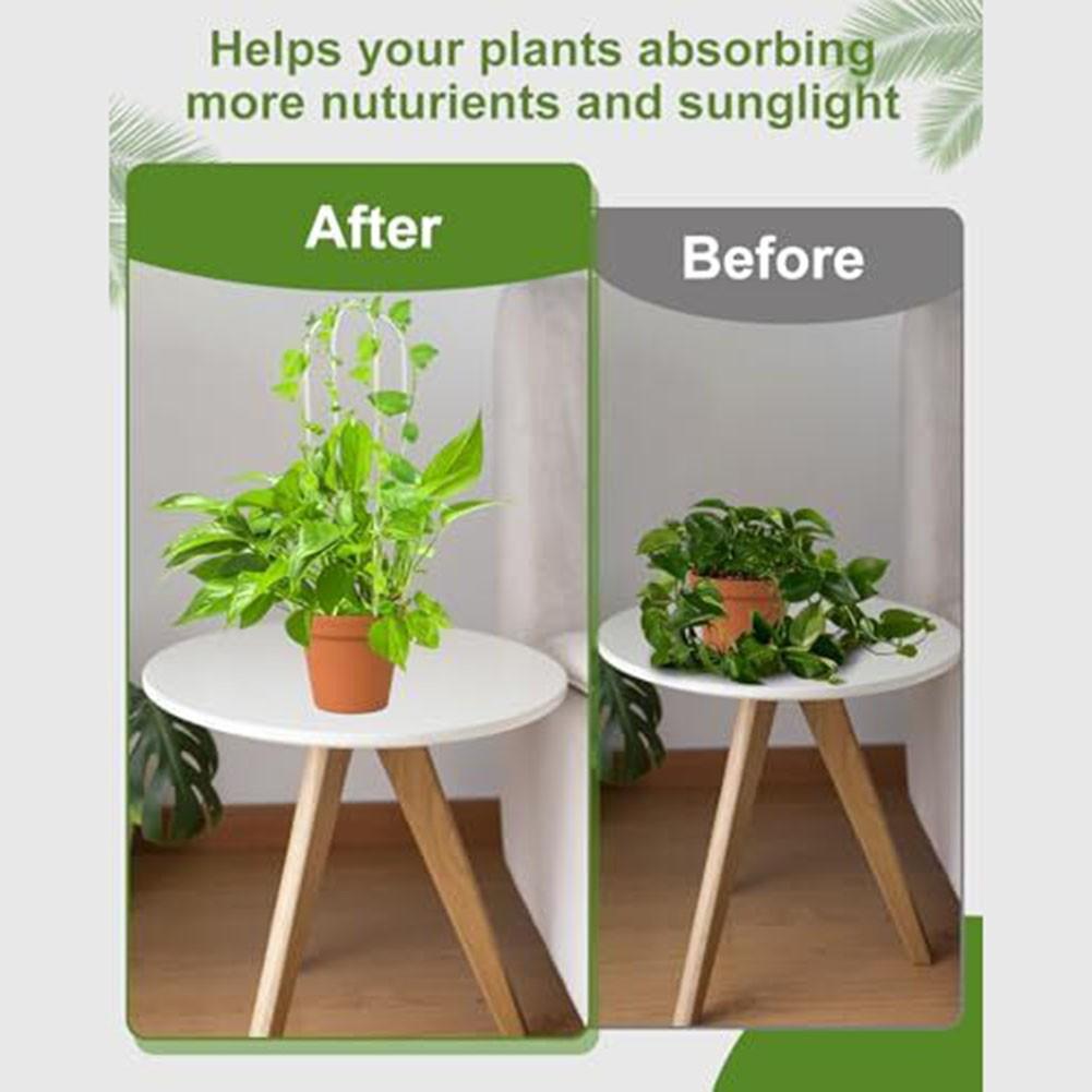 Acrylic Trellis Suitable for Training Plants in Beautiful Vertical Displays