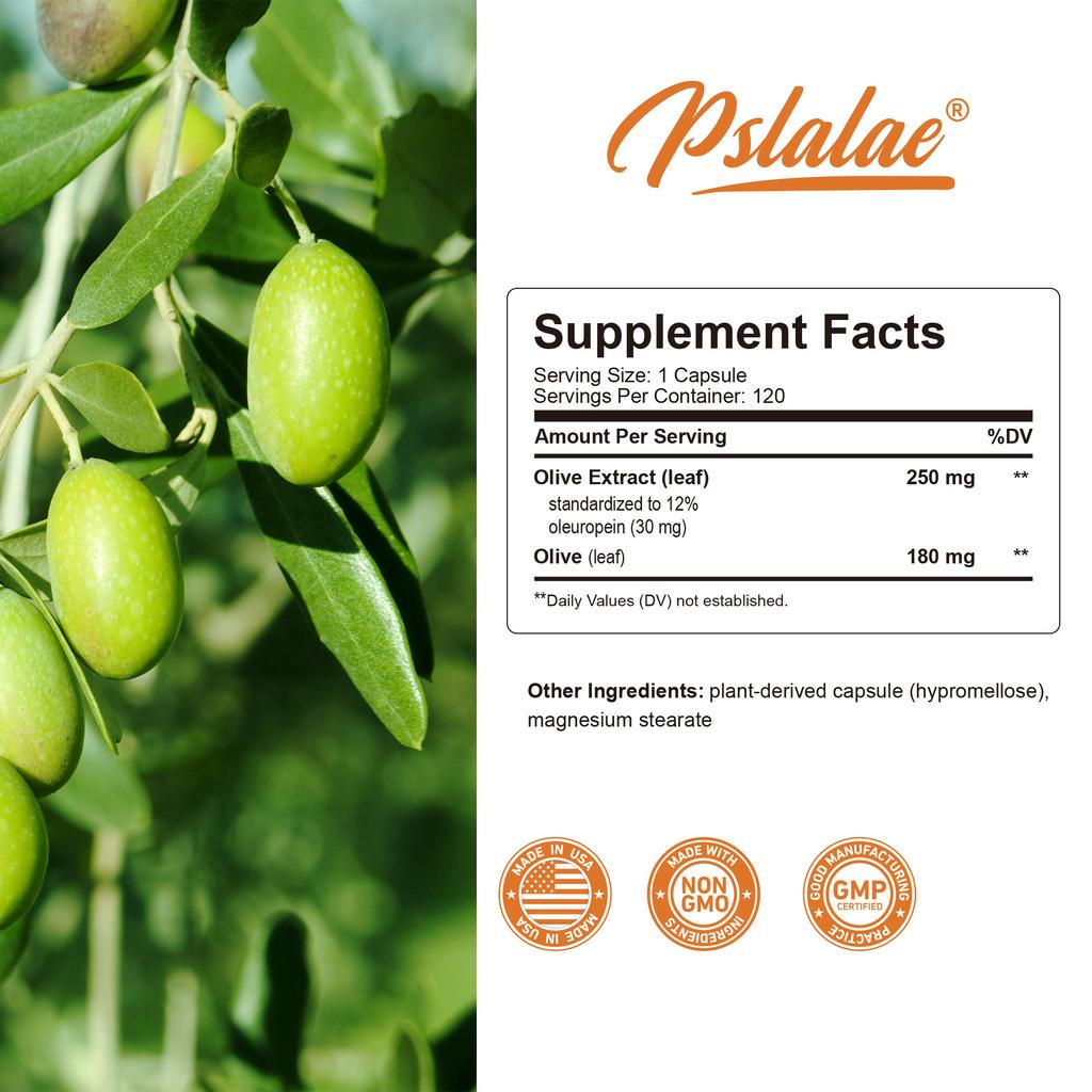 Olive Leaf Extract Capsules 250mg 120 Count — Antioxidant Support, Daily Wellness, Nutritional Support