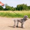 Wear-resistant Retractable Dog Leash Adjustable Automatic Dog Leash Pet Dog Leash  Training