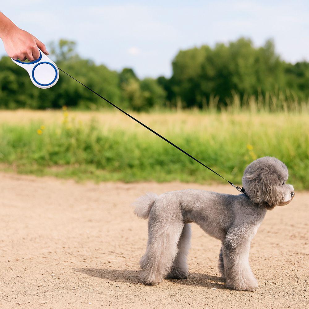 Wear-resistant Retractable Dog Leash Adjustable Automatic Dog Leash Pet Dog Leash Training