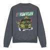 Teenage Mutant Ninja Turtles Unisex Adult Van Sweatshirt