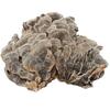 Органический чай из гриба Рейши (Turkey Tail) Травяной чай Натуральная поддержка энергии 500 г