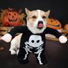 Halloween Costumes For Dogs Glow In The Dark Skull Spooky Costume Dog Clothes Pet Clothes Novelty Funny Halloween Pet Costumes