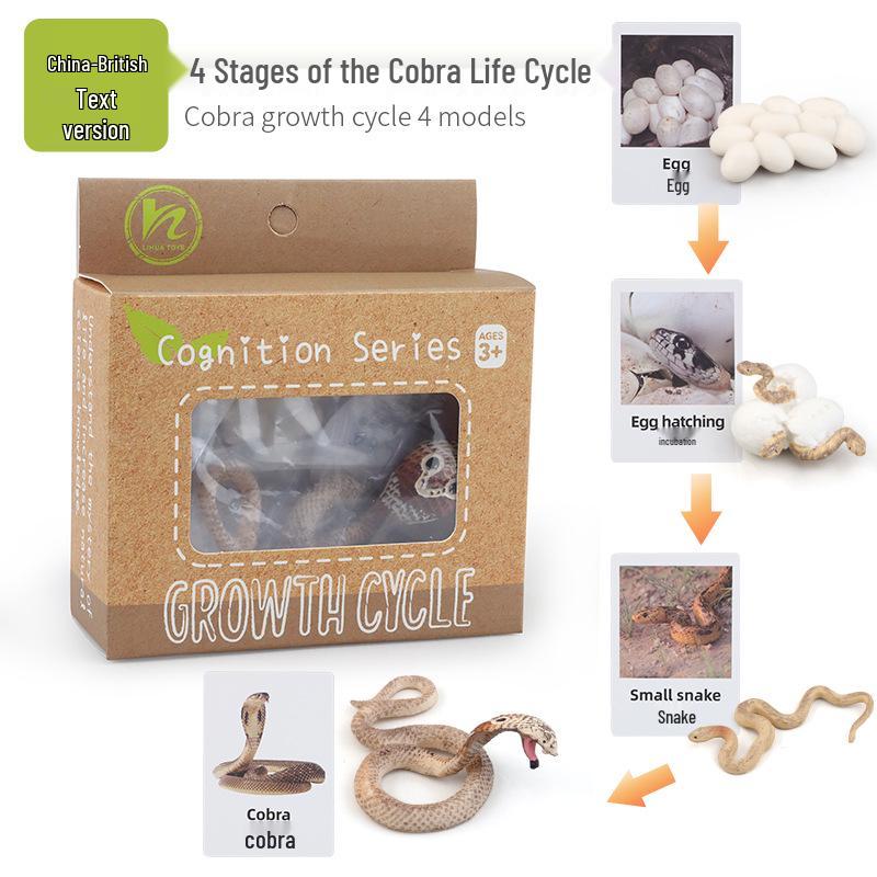Montessori Animal & Plant Growth Cycle Teaching Toys for Kids