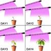 USB LED Grow Light Timed Full Spectre For Plants Tent Greenhouse Hydroponics Planting System 9 Dimmable Flower Clip Phyto Lamp