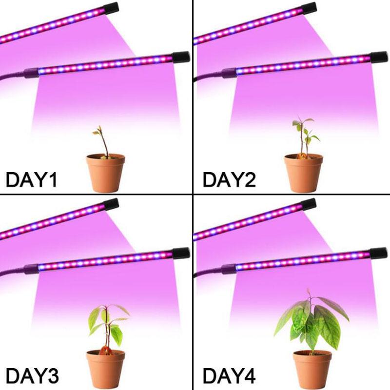 USB LED Grow Light Timed Full Spectre For Plants Tent Greenhouse Hydroponics Planting System 9 Dimmable Flower Clip Phyto Lamp