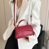 Foreign Style Handbag Women's 2025 Spring and Summer New Heavy Color Shoulder Messenger Bag Fashion Texture Solid Color Small Square Bag