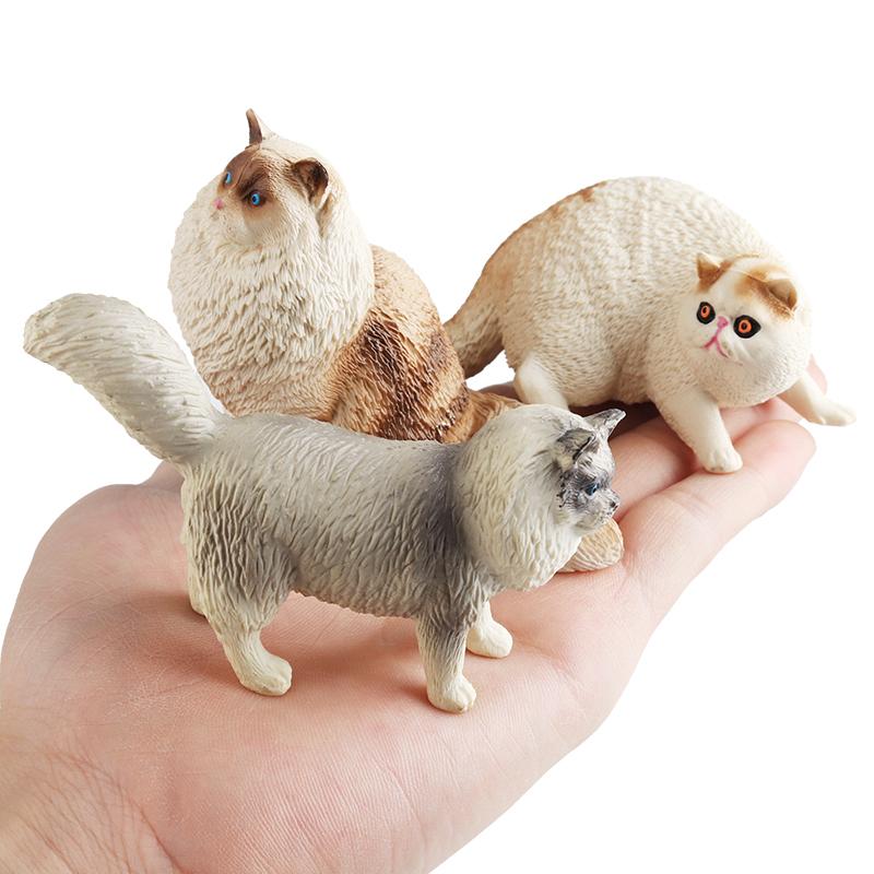 Oenux Cat Model Siamese Devon Rex Sphynx Ragdoll Persian Action Figure Cat Kitty Bobtails Figurine Cute Decoration Kids Toy Gift
