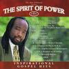 CD РАЗНЫЕ ИСПОЛНИТЕЛИ - Дух Силы: Вдохновляющий P251123 Priority Record 1998 Япония Музыка Другое Б/У