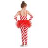Girls Candy Cane Costume Santa Claus Christmas Sleeveless Stripes Print Tulle Peplum Long Jumpsuit with Arm Sleeves