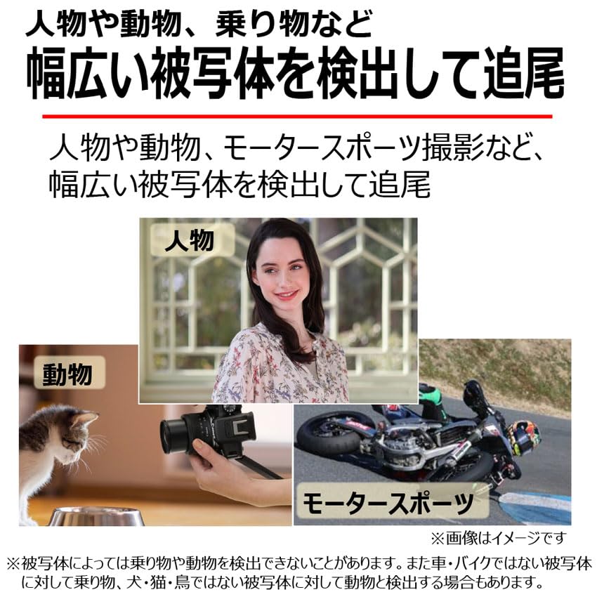 Canon Комплект объективов для беззеркальной однообъективной камеры EOS R10 (РФ-С18-45) Черный/APS-C/EOSR10-1845ISSTMLK